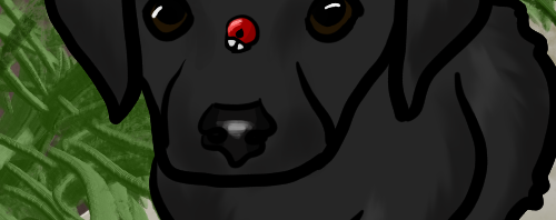 finished picture of puppy with ladybug on nose