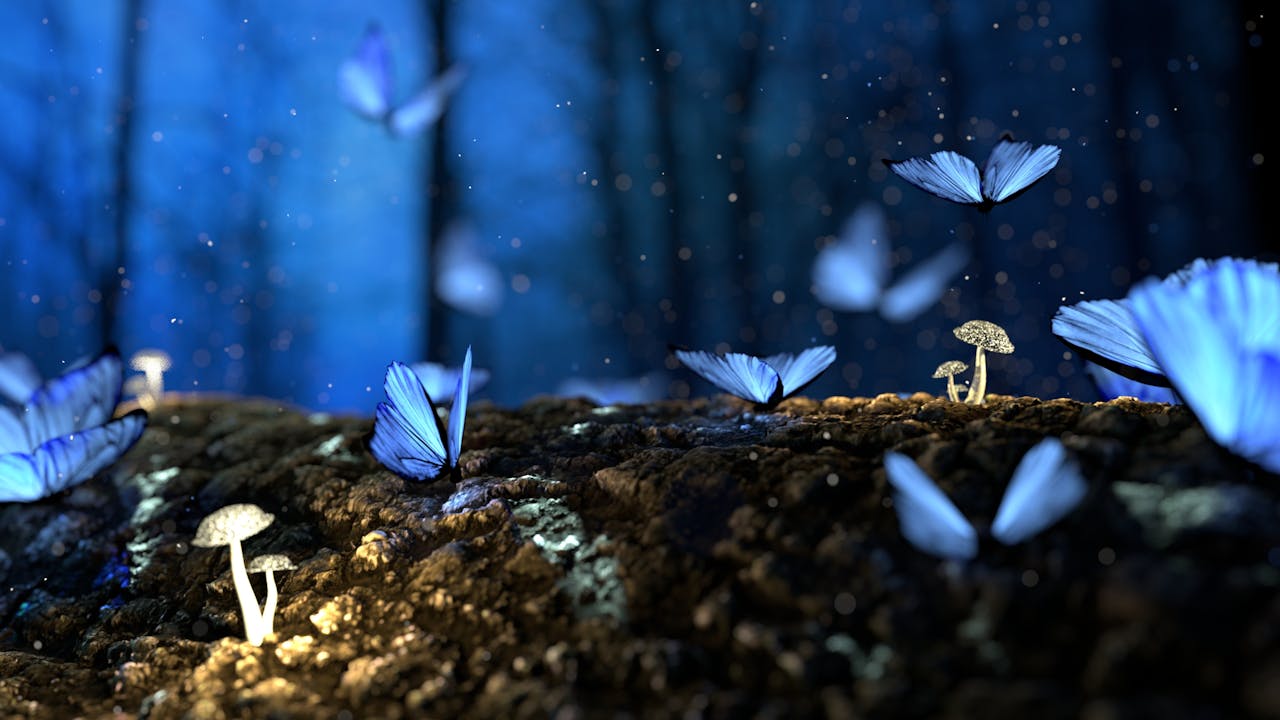 Life’s Like a Fairy Tale