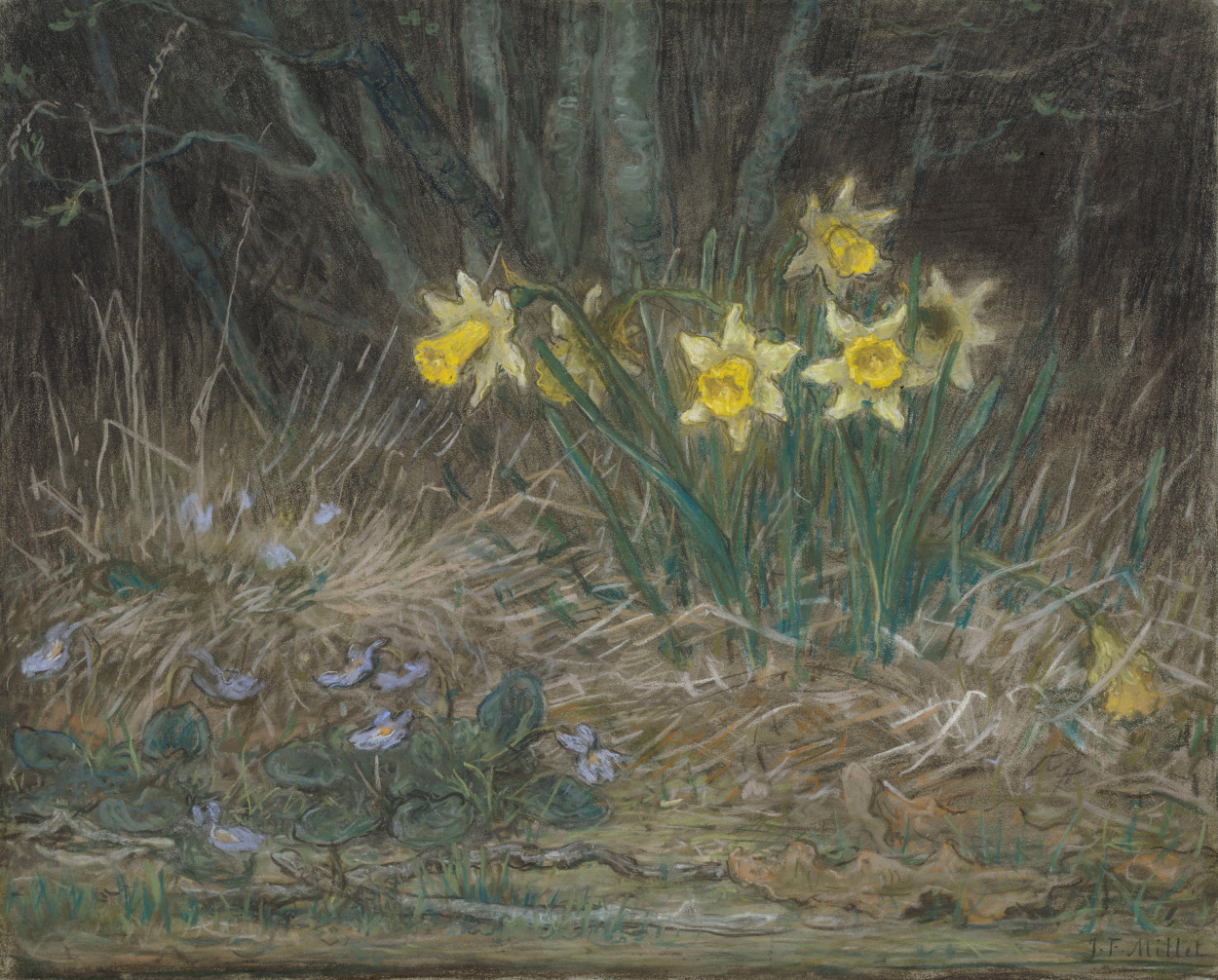 Narcissi and Violets by Millet Amid a background of dark twigs and brown grass, the artist drew green stems with bright yellow daffodils. Some purple violets adorn the ground below.