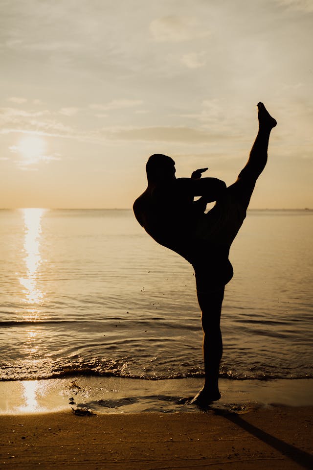 A golden-tan sunset on a calm beach. In silhouette in the foreground, someone practices martial arts with a kick high above their head.