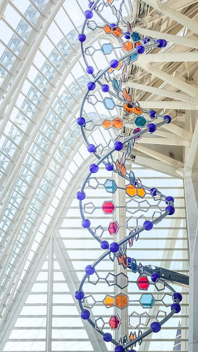 A metal and glass sculpture of DNA hanging in a large glass atrium